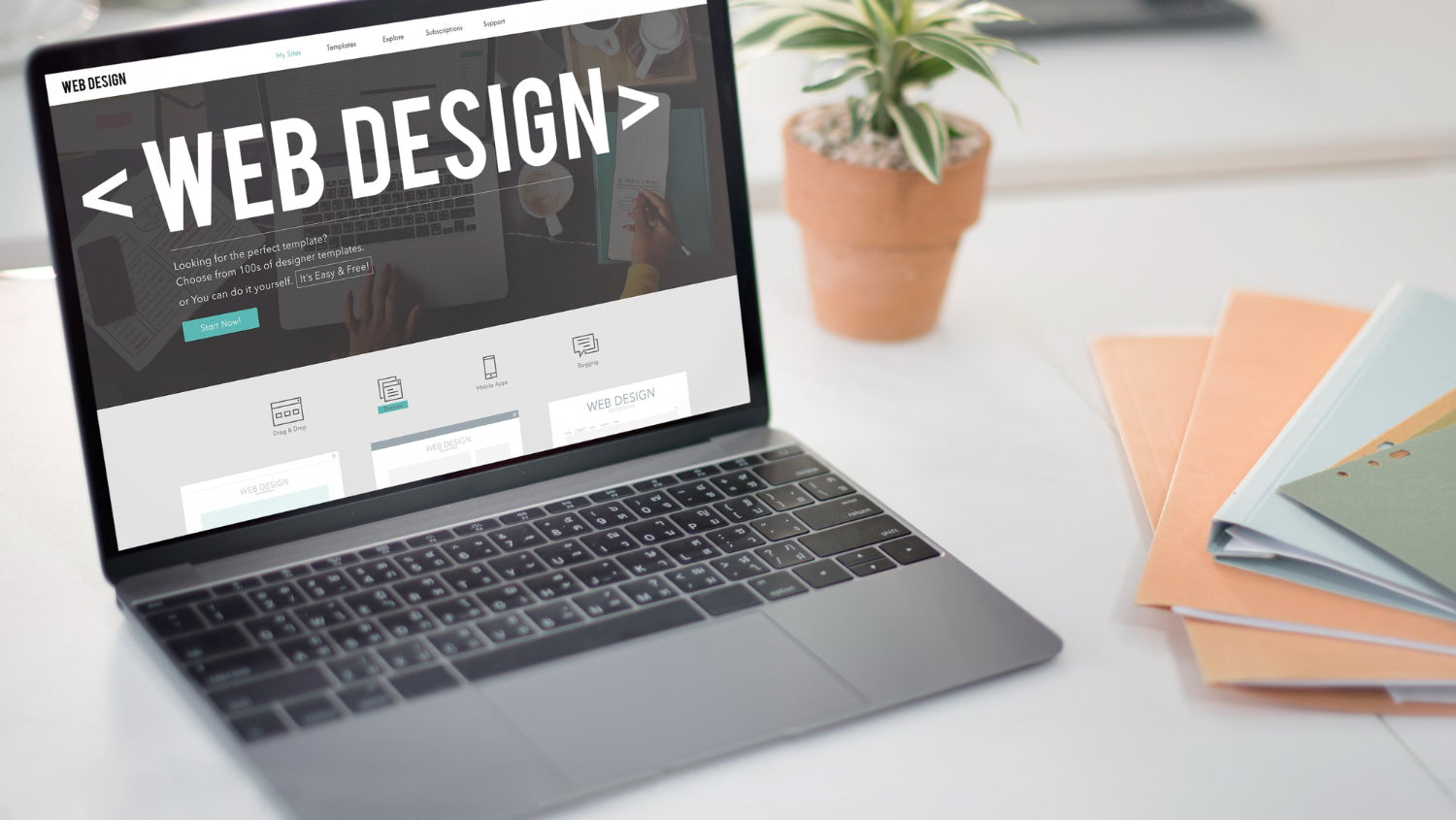 Common Design Features of High-Selling Shopify Stores