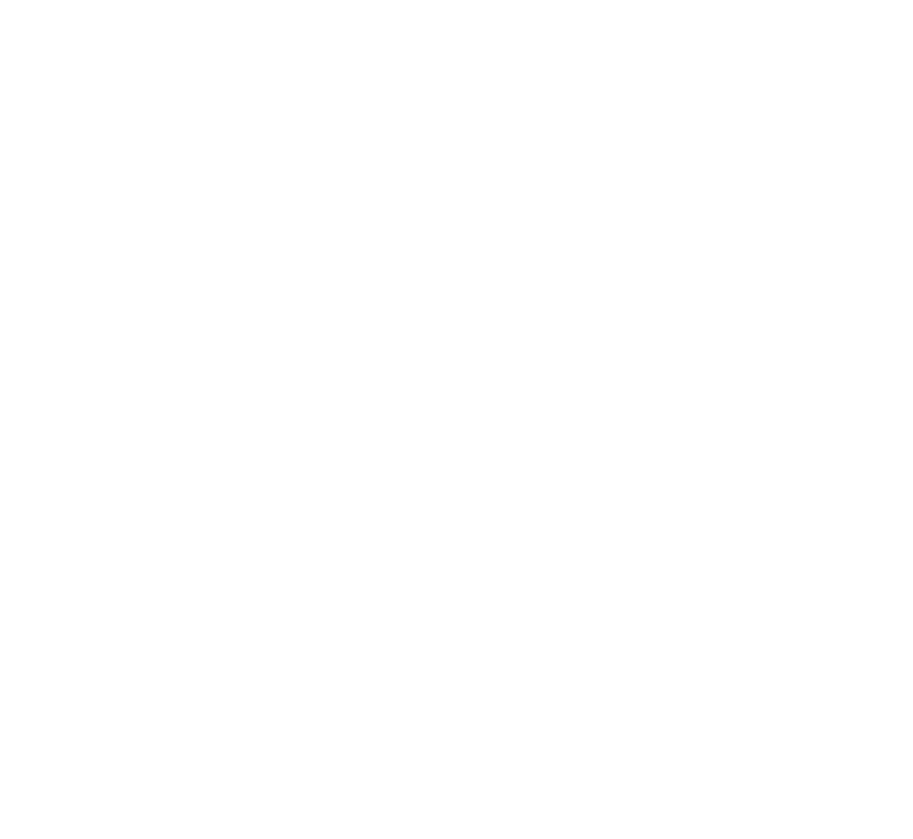 Resmi Shopify Plus Partneri 